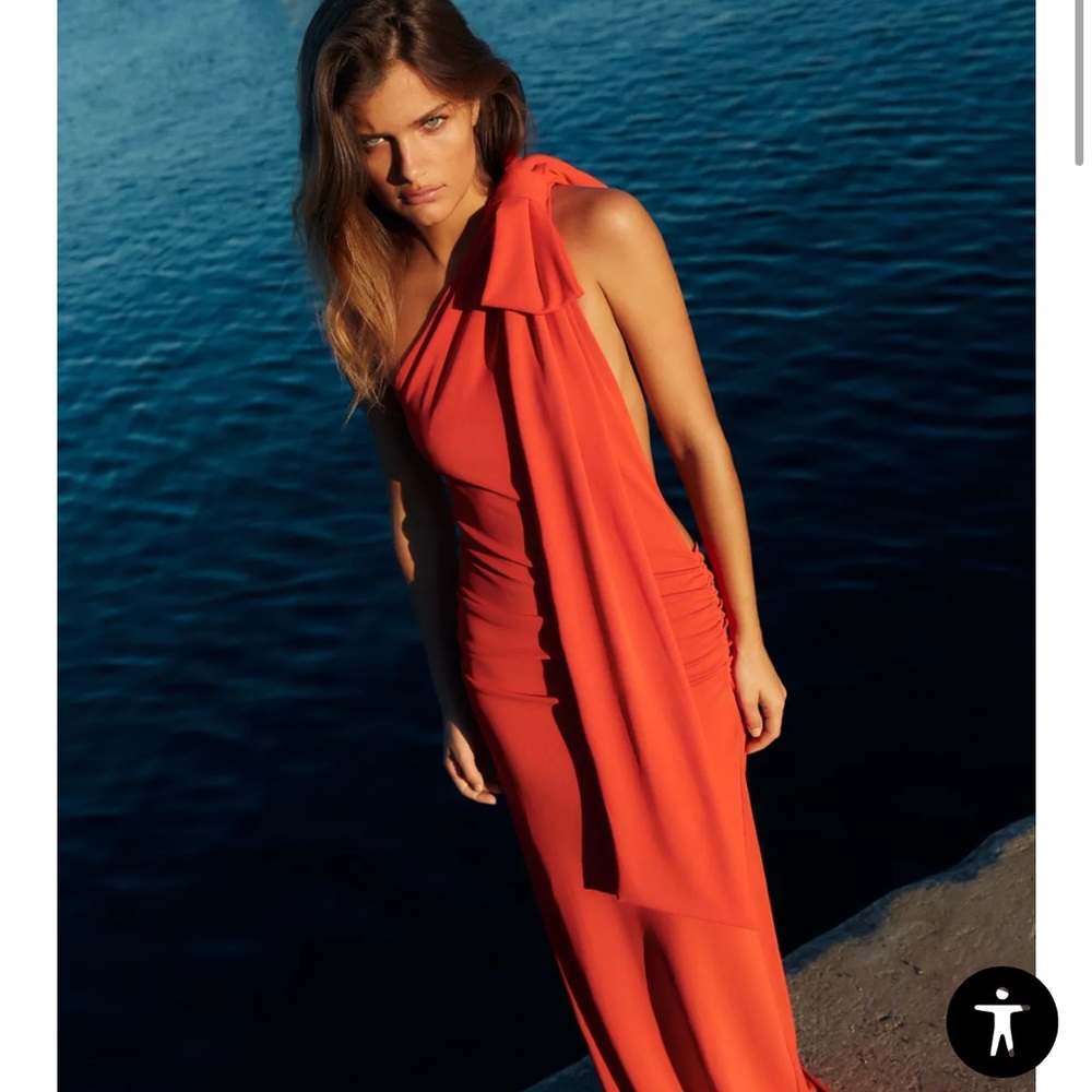 Zara Open Back Maxi Dress